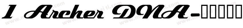 1 Archer DNA字体转换